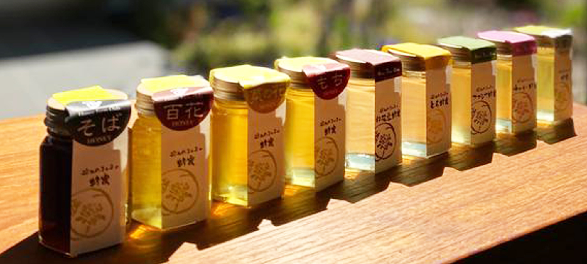 グラデーションハニー