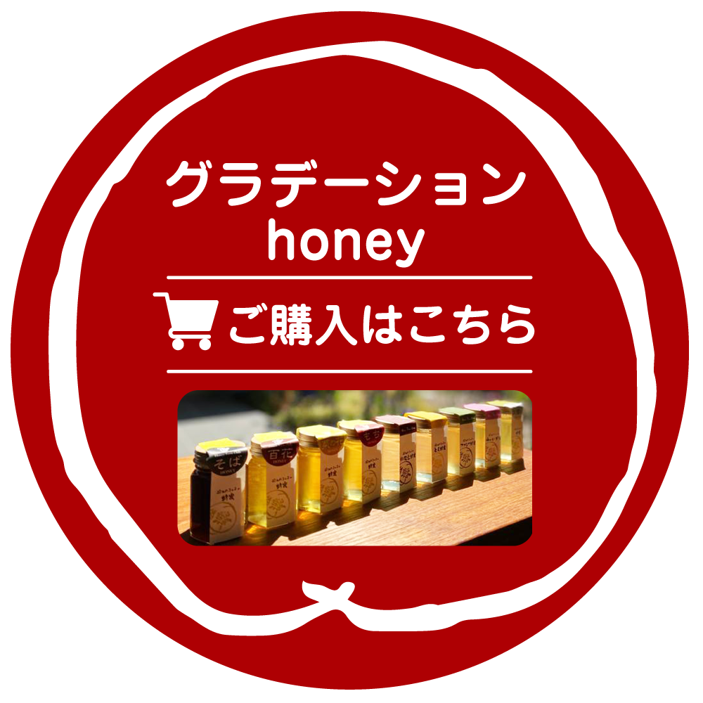 グラデーションhoney