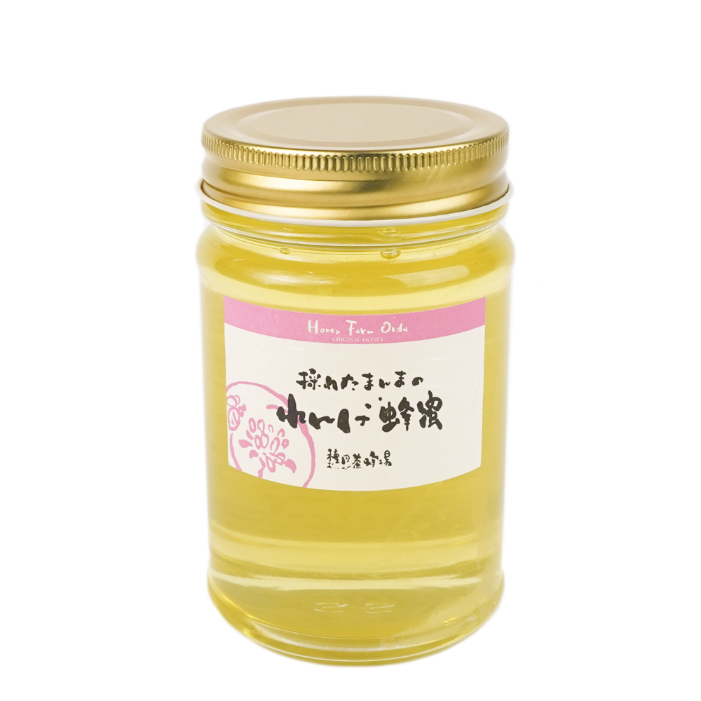 れんげ蜂蜜 種田養蜂場